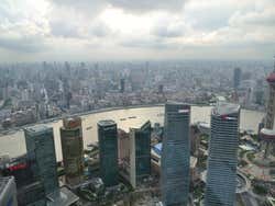 Torre Jin Mao, vistas